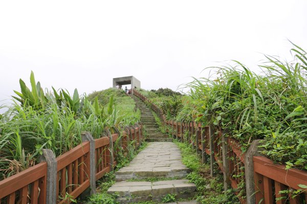 一路向海去~療癒的海景步道望幽谷濱海步道755036