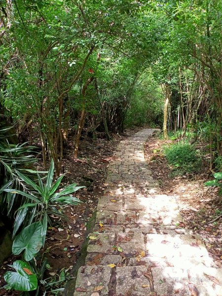 天母古道、內湖大港墘公園、文間山登山口、劍南路潛園【走路趣尋寶、健康大穀東】2273619