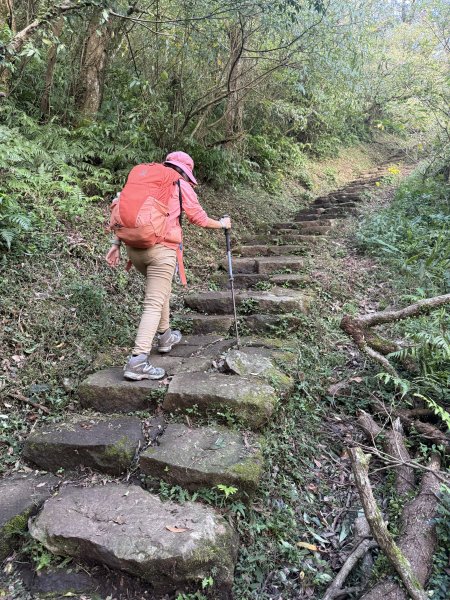 二子坪步道 經遊憩區 上面天山 202511082935047