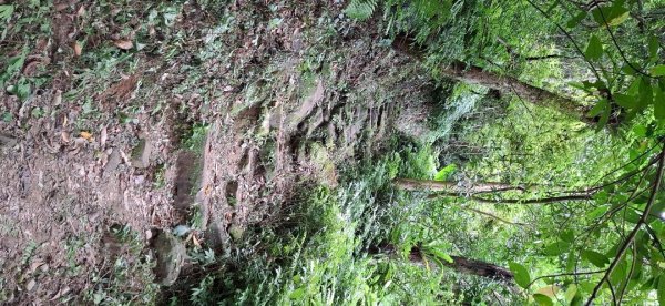 草湳二格山南窟山3122648