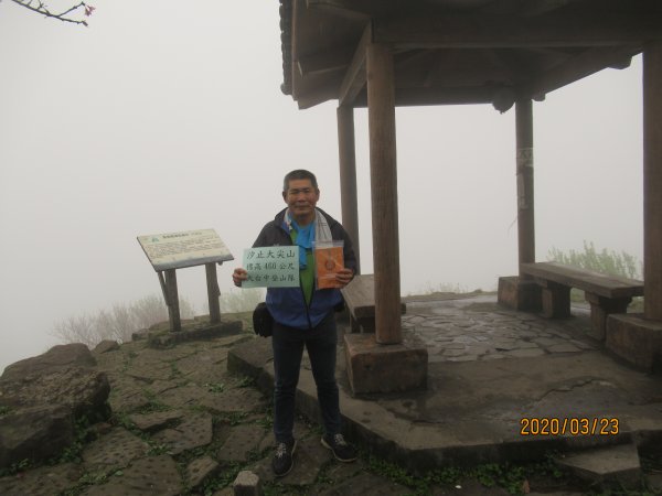 汐止大尖山908479