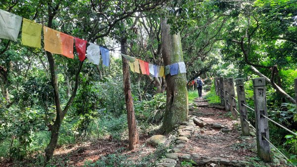 《彰化》果園古道｜廣天宮隴頂古道到鳳山寺O繞202509142884043