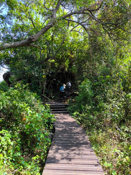 2025-05-25 高雄龜山、半屏山2799131