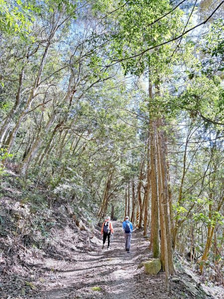 南投仁愛.埔里基石巡禮--眉溪山.東關刀山(北北峰.北峰）.墘溪山.石盤坑山    2024.12669688
