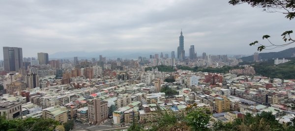 福州山公園3002490