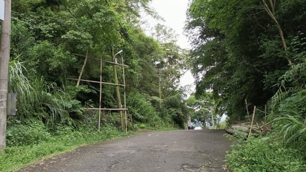 20250607 新竹竹東三山(樹杞林山 - 新具庄山 - 員崠子山)  O型2808870