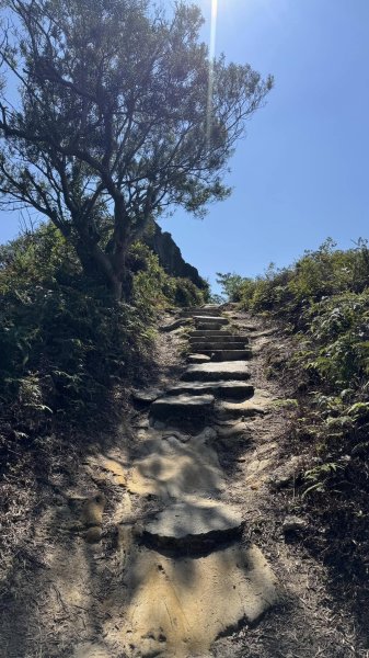 20250215新北投大師岩軍艦岩2718180