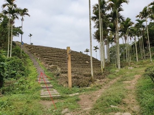 1090405後棟山連走大二尖山908311