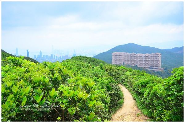 香港衛奕信徑-赤柱至陽明山莊127749