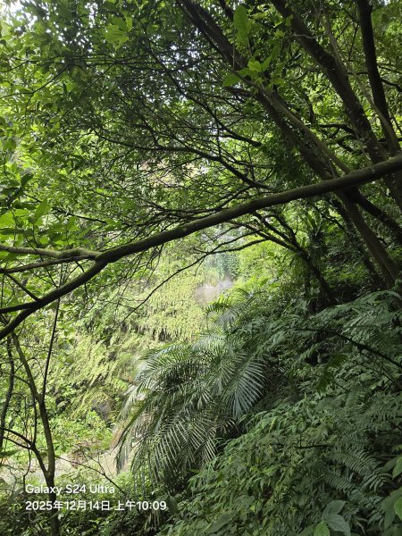 2025-12-14微笑山線：【二格山系】銀河洞越嶺段2962130