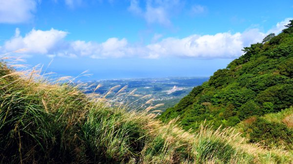 向天蝦不蝦2936821