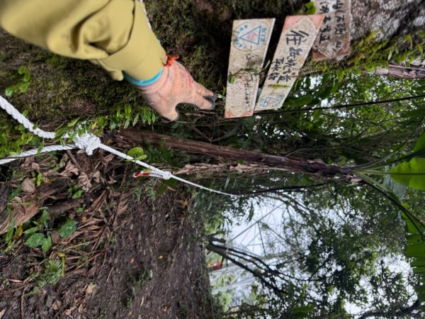 三林一后一紙及武山煤礦文化遺址8字行2991117