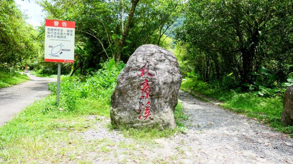 九寮溪自然步道2826876