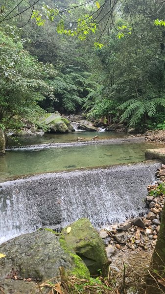 2025-01232淡蘭古道北二段(燦光寮古道到澳底)2696556