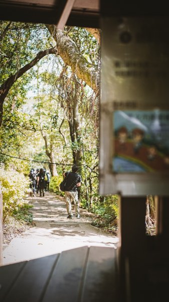 20220404—兒童節登山趣—第五段1699915