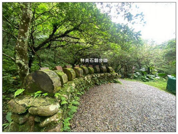 林美石磐步道3121278