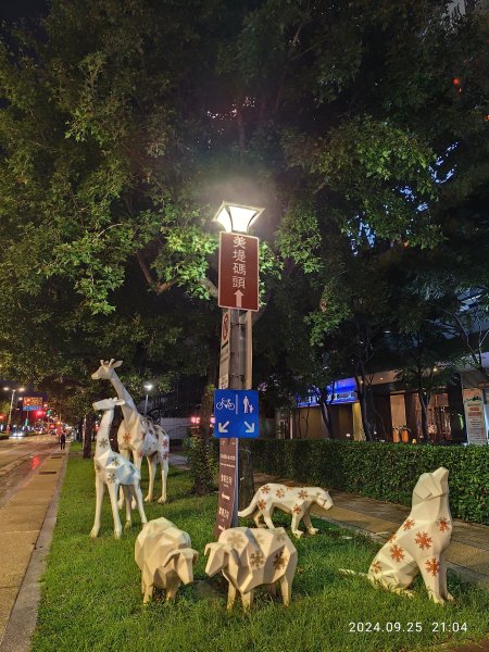 璀璨耀眼的夜景 - 大直美麗華、大稻埕、大港墘公園【臺北健走趣】【健走複利】2604594