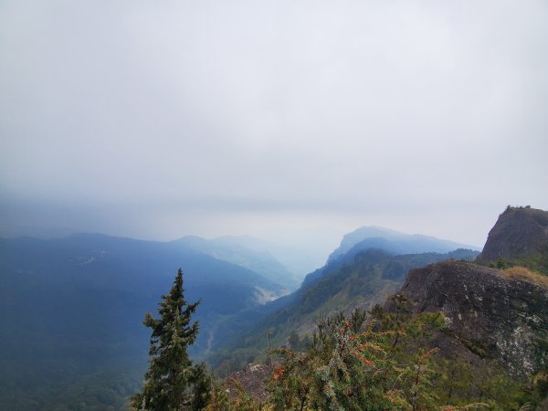 阿里山大塔山899536