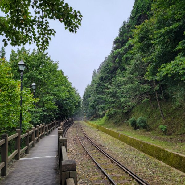 阿里山國家森林遊樂區2549513