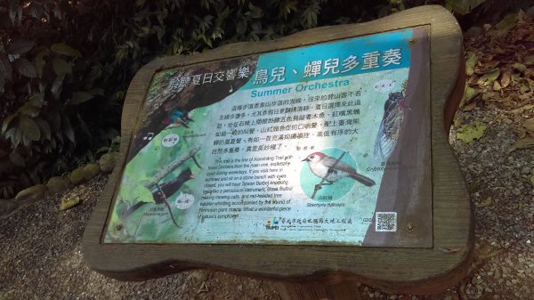 【臺北大縱走 6】象山拇指山南港山九五峰918393