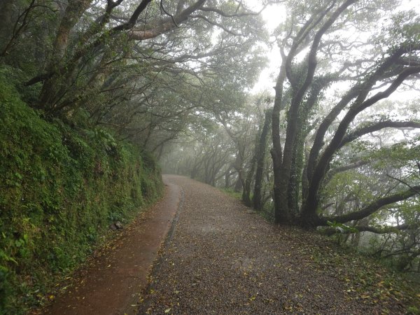 2026年臺北大縱走第一段：關渡至二子坪3010875