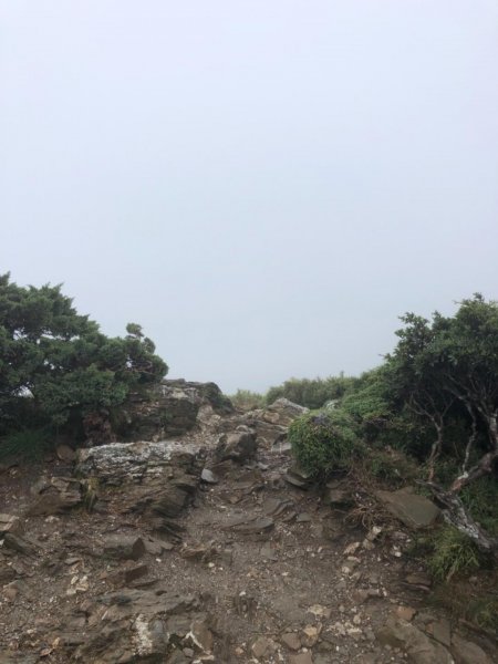 南投縣仁愛鄉 花蓮縣秀林鄉 合歡東峰672507