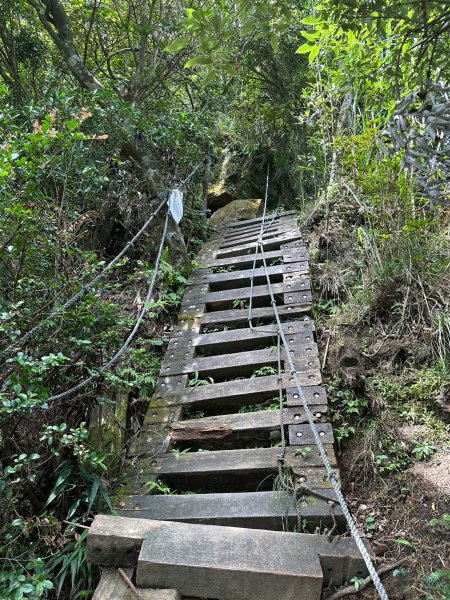 大崙頭山走到大崙尾山2263391