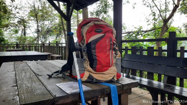 《台中》觀九九峰｜霧峰青桐林生態步道群202511092932233