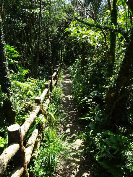 台灣小百岳第17座台北文山-二格山三角點1069135