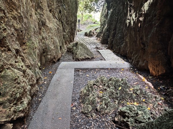 [百山百鳥尋旅-02/15] 2025_0809 社頂自然公園步道2857088