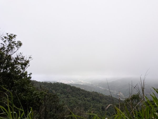 2025-05-17 三進三出九五峰 (象山、中華科大、麗山橋)2796900