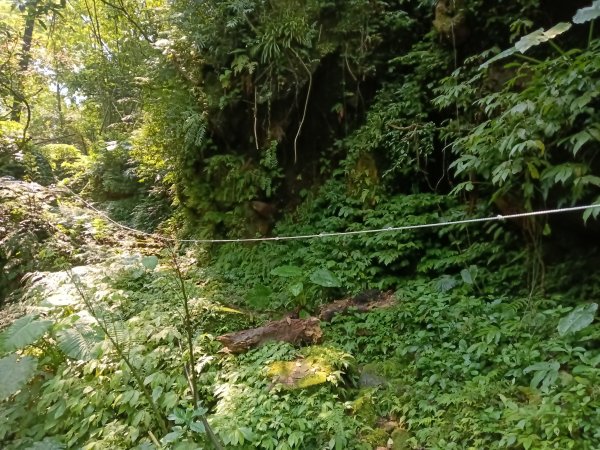 平溪區大華車站-乾坑古道石龜將軍-平湖西步道-番子坑山-平湖大厝-十分車站3037260