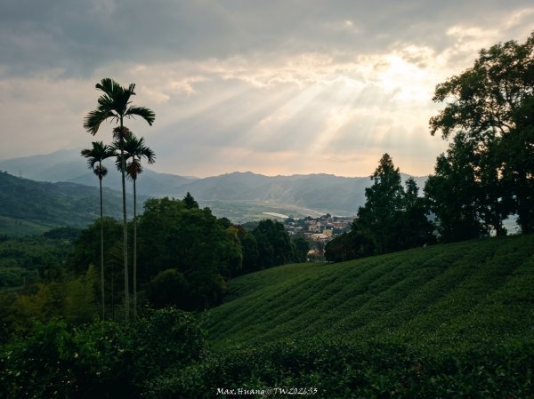 《南投》瀑布茶園｜竹山瑞龍瀑布步道及山坪頂茶山七星步道20260927
