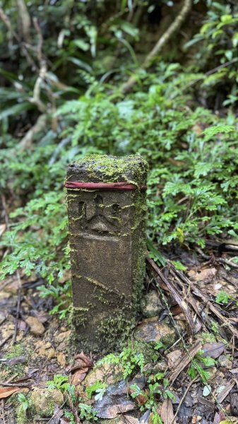 20250708 四堵古道2837741