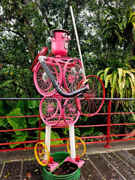 2025臺北大縱走第七段：世界山莊至飛龍步道政大後山2924009