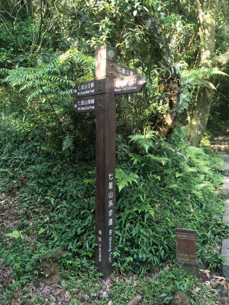 七星山主、東峰登山步道1682135