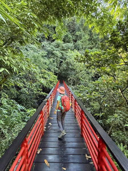 竹坑溪步道 202506282827136