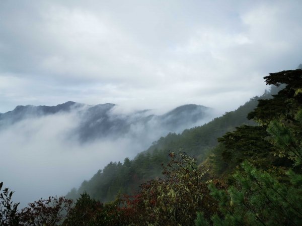 玉山東峰1533168