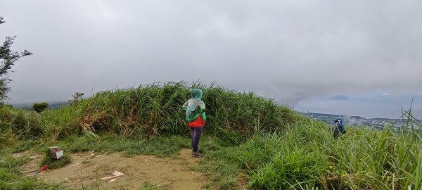 2026/04/24 鵲子山步道3043045