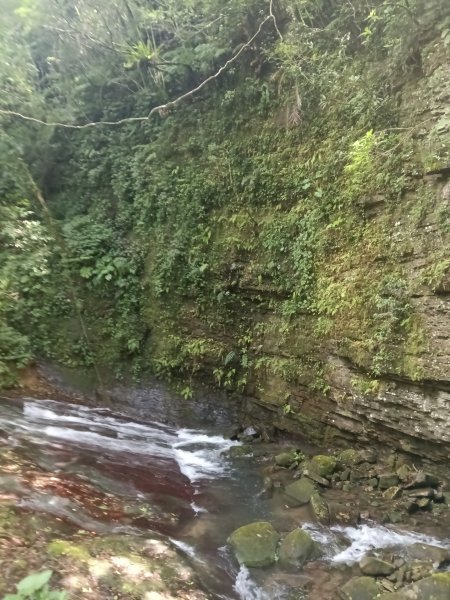 坪林區九芎坑古道+九芎坑圳沽古道+大舌湖山大小O型2845678