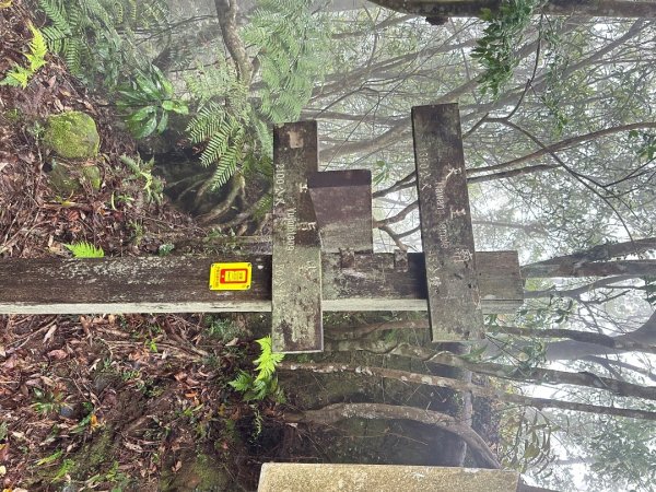 皇帝殿202603293035839