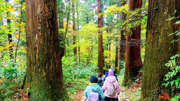 山形縣羽黑山神社2929701