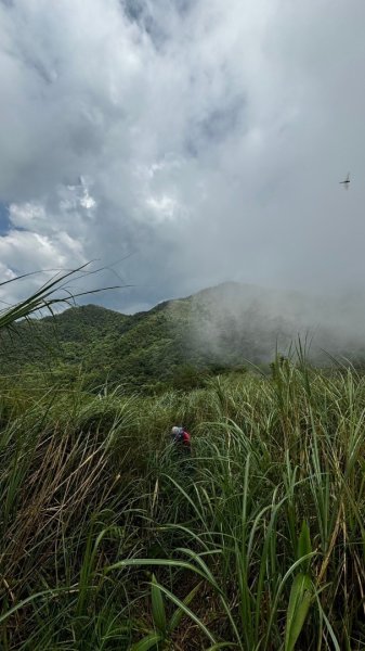 石龜山、叢雲山O走2592620