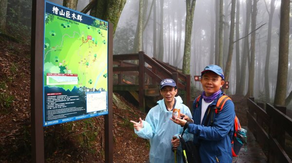 【新竹】觀霧迷幻森林：檜山巨木群步道1112078