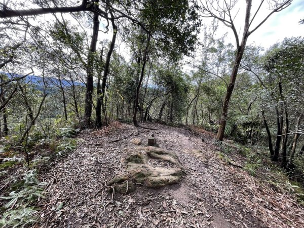 大湖翠湖金龍湖2711899