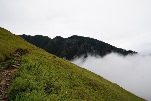 2018-08-03雪山主北431170