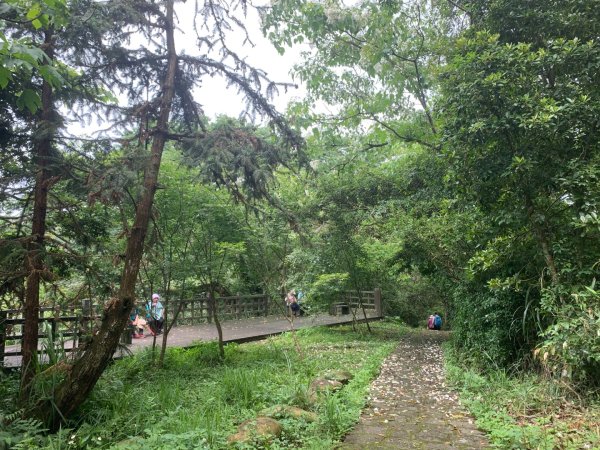 大崎棟古道、騎龍古道2772256