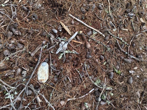 北一段(05/14)南湖南峰 2025_0906~132886495