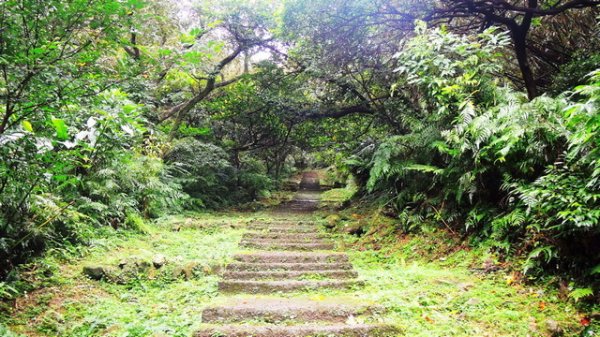 淡蘭古道北路（官道）855086