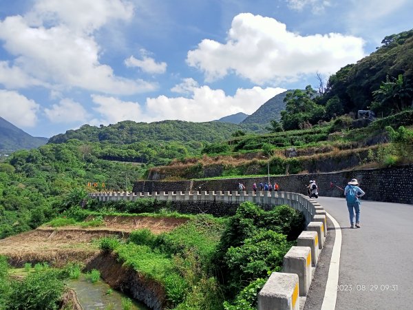 天母→猴洞→半嶺步道→第二展望臺→湖底步道→湖山國小步道→湖山綠地→前山公園→陽明醫院舊址→白雲瀑布2267040